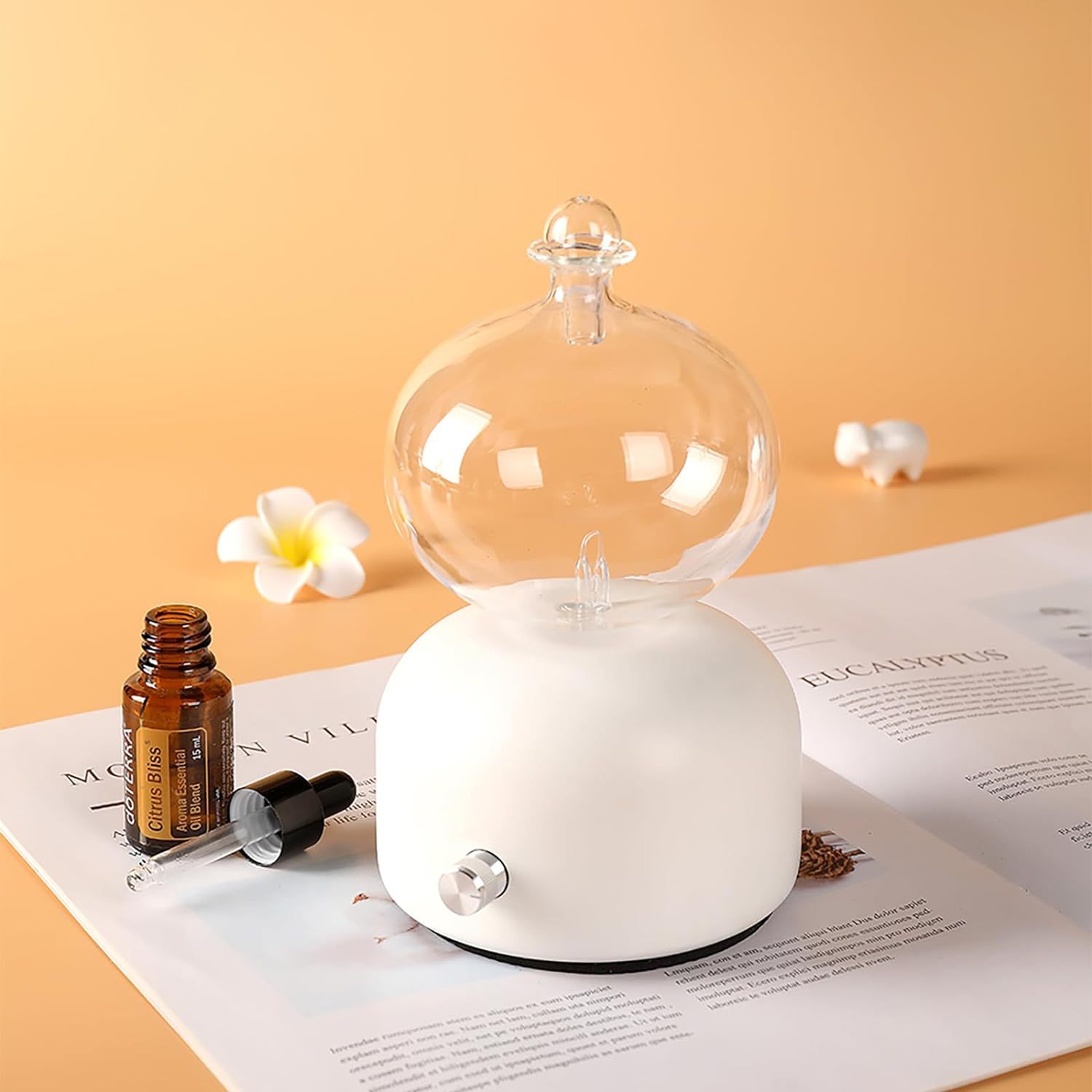 Solid Wood Aromatherapy Instrument Glass Pure Essential Oil Aroma Diffuser